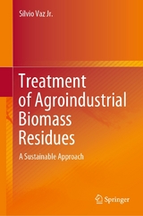 Treatment of Agroindustrial Biomass Residues - Sílvio Vaz Jr.