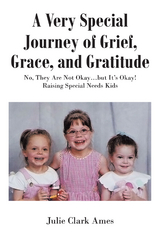 Very Special Journey of Grief, Grace, and Gratitude -  Julie Clark Ames