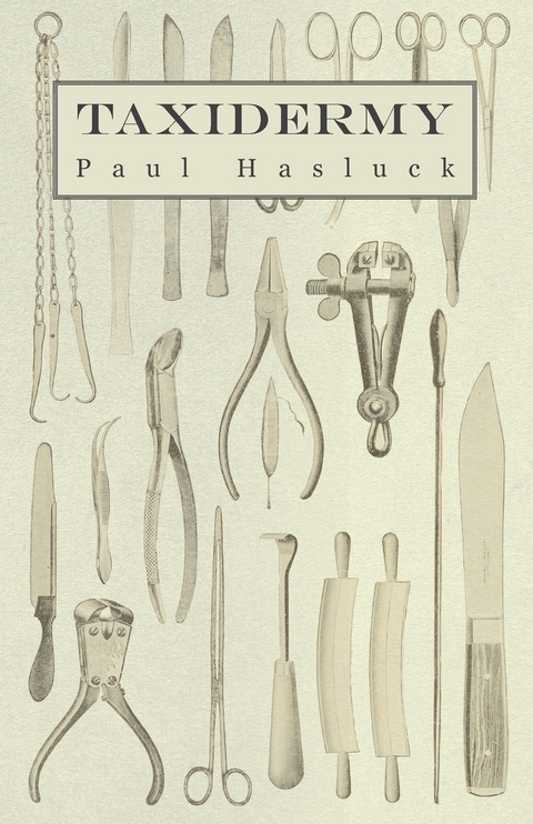 Taxidermy -  Paul Hasluck,  Various