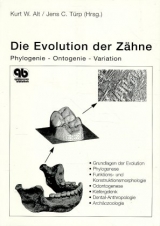 Die Evolution der Zähne - 