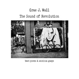 Sound of Revolution -  Grae J. Wall