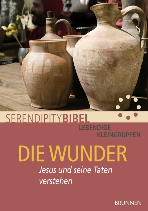 Die Wunder -  Serendipity bibel