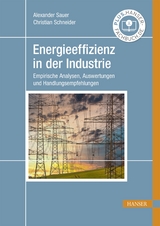 Energieeffizienz in der Industrie - Alexander Sauer, Christian Schneider