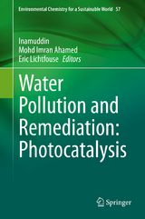 Water Pollution and Remediation: Photocatalysis - 