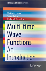 Multi-time Wave Functions - Matthias Lienert, Sören Petrat, Roderich Tumulka