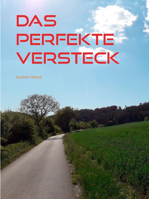 Das perfekte Versteck - Joachim Hesse