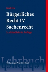 Bürgerliches Recht IV. Sachenrecht - Iro, Gert Michael