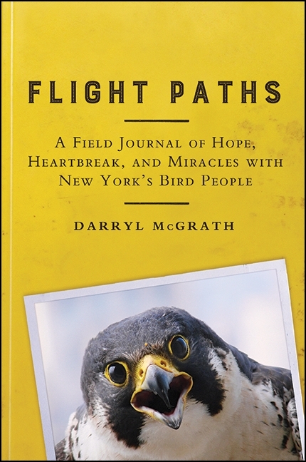 Flight Paths -  Darryl McGrath