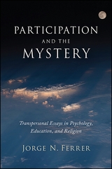 Participation and the Mystery -  Jorge N. Ferrer