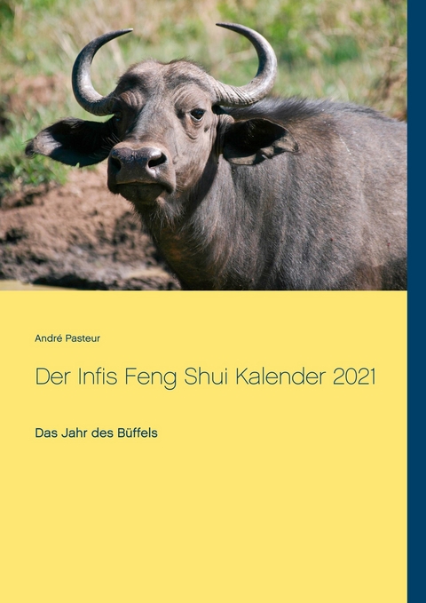 Der Infis Feng Shui Kalender 2021 -  André Pasteur