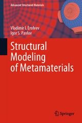 Structural Modeling of Metamaterials - Vladimir I. Erofeev, Igor S. Pavlov