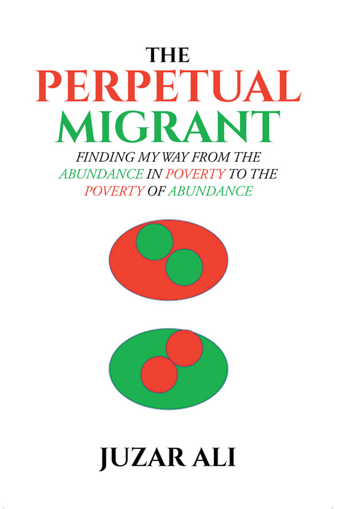 Perpetual Migrant -  Juzar Ali