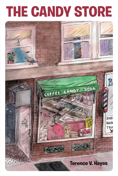 The Candy Store - Terence V. V. Hayes
