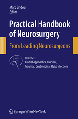 Practical Handbook of Neurosurgery - 