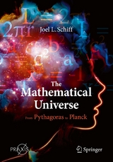 The Mathematical Universe -  Joel L. Schiff