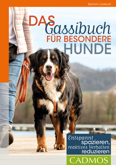 Das Gassi-Buch für besondere Hunde - Katrien Lismont