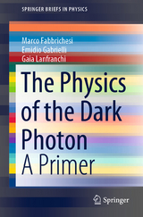 The Physics of the Dark Photon - Marco Fabbrichesi, Emidio Gabrielli, Gaia Lanfranchi