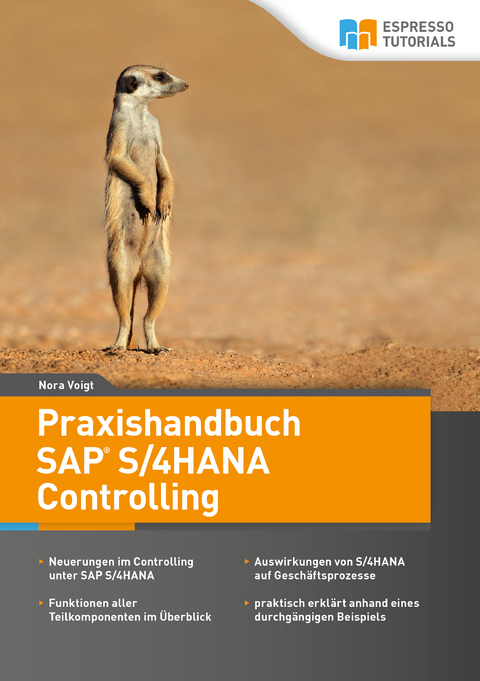 Praxishandbuch SAP S/4HANA Controlling - Nora Voigt
