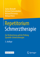 Repetitorium Schmerztherapie -  Justus Benrath,  Michael Hatzenbühler,  Michael Fresenius,  Michael Heck