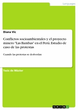 Conflictos socioambientales y el proyecto minero "Las Bambas" en el Perú. Estudio de caso de las protestas - Diana Vic