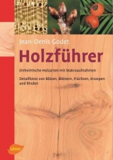 Holzführer - Jean-Denis Godet