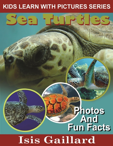 Sea Turtles: Photos and Fun Facts for Kids - Isis Gaillard