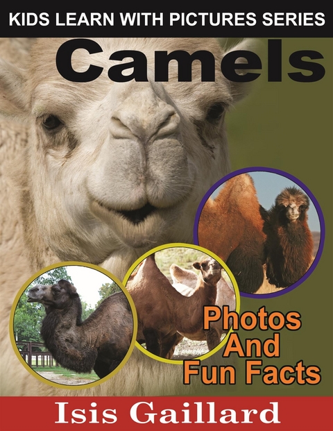 Camels: Photos and Fun Facts for Kids - Isis Gaillard