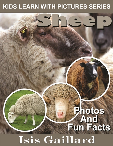 Sheep: Photos and Fun Facts for Kids - Isis Gaillard
