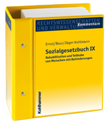 Sozialgesetzbuch IX - Ulrich Adlhoch, Christopher Beermann, Karl-Friedrich Ernst, Bernd Finke, Dirk Heinz, Eva-Maria Jäger-Kuhlmann, Manfred Kadoke, Ulrike Kayser, Rosita Schlembach, Franz Schmeller, Hubert Seiter, Franz-Georg Simon, Helga Seel, Andreas Löbner, Stefan Schinkel, Fritz Baur, Ulrich Hartschuh, Fabian Walling, Gerlinde Dauber, Christopher Rein, Jörg E. Rabe, Marje Mülder, Stephan Kiss, Helmut Dankelmann, Volkert Petersen, Bertram Raum