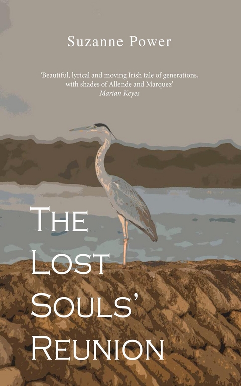 The Lost Souls' Reunion - Suzanne Power