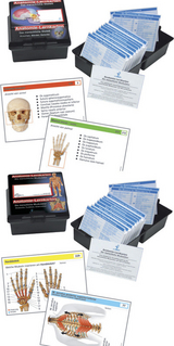 Doppelpack Anatomie-Lernkarten Muskulatur und Skelett - 