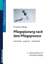 Pflegeplanung nach dem Pflegeprozess - Henke, Friedhelm