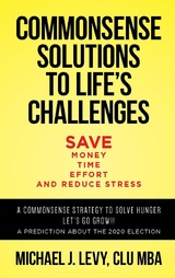 Commonsense Solutions to Life's Challenges - Micheal J. Levy