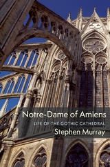 Notre-Dame of Amiens -  Stephen Murray