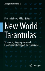 New World Tarantulas - 