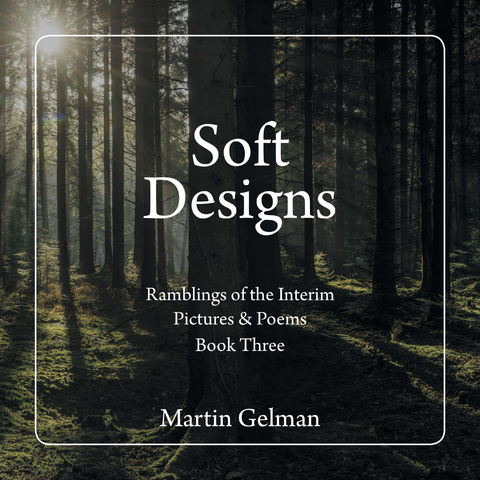 Soft Designs -  Martin Gelman