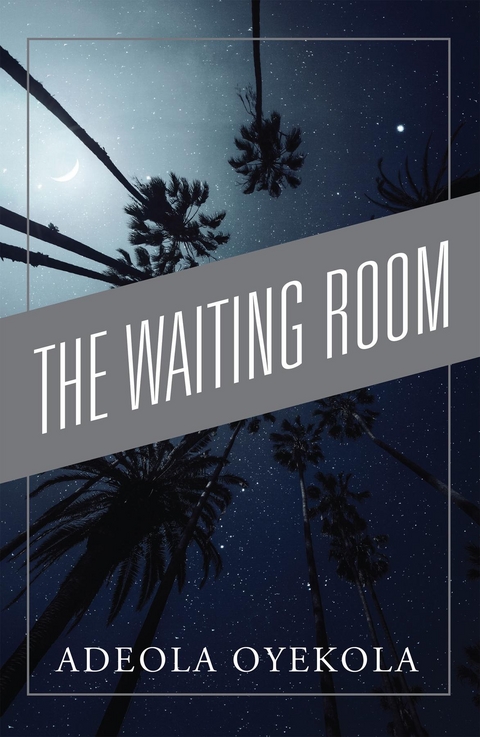 Waiting Room and The Christmas Present -  Adeola Oyekola