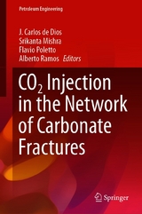 CO2 Injection in the Network of Carbonate Fractures - 