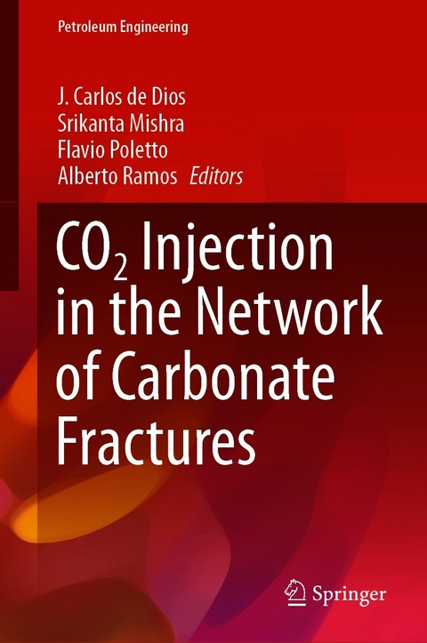 CO2 Injection in the Network of Carbonate Fractures - 