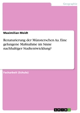 Renaturierung der Münsterschen Aa. Eine gelungene Maßnahme im Sinne nachhaltiger Stadtentwicklung? - Maximilian Meidt