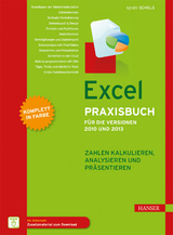 Excel Praxisbuch für die Versionen 2010 und 2013 - Ignatz Schels