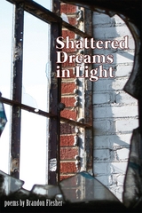 Shattered Dreams in Light -  Brandon Flesher