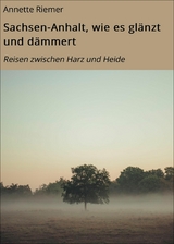 Sachsen-Anhalt, wie es glänzt und dämmert - Annette Riemer