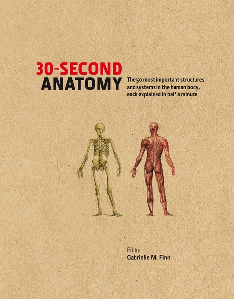 30-Second Anatomy -  Judith Barbaro-Brown,  Gabrielle M Finn,  Claire France Smith