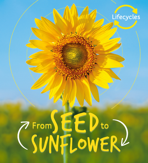 Lifecycles: Seed to Sunflower - Camilla de la Bedoyere