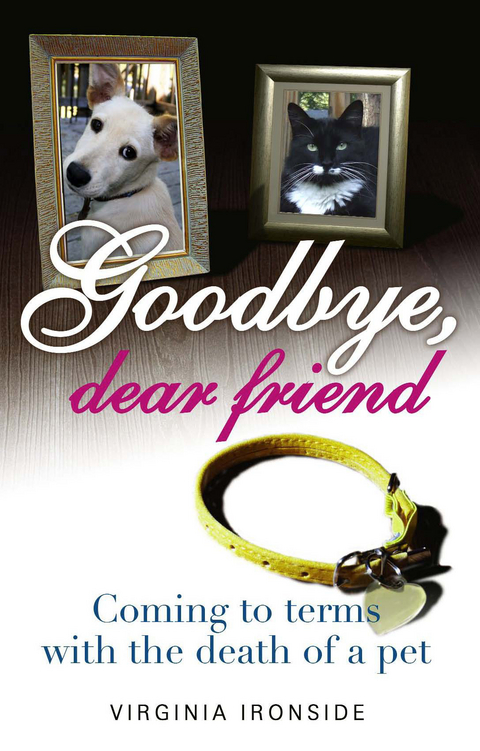 Goodbye, Dear Friend -  Virginia Ironside