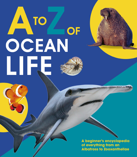 to Z of Ocean Life