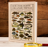 How Zoologists Organize Things -  David Bainbridge