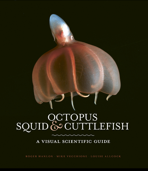 Octopus, Squid & Cuttlefish - Roger Hanlon, Louise Allcock, Mike Vecchione