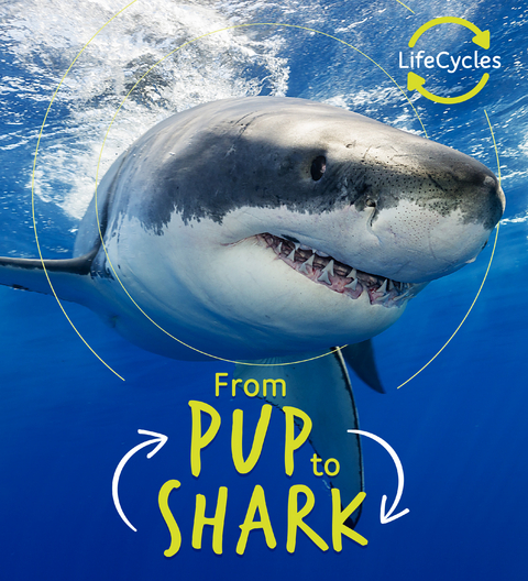 Lifecycles - Pup To Shark - Camilla de la Bedoyere